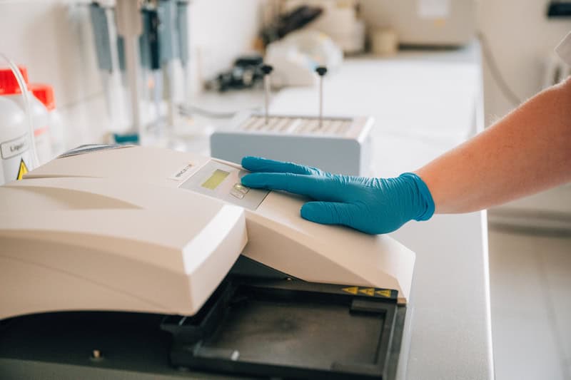 Biopharm Výzkum Transgeneze